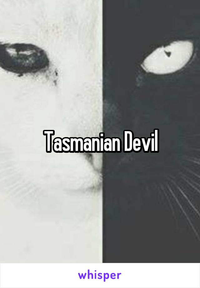 Tasmanian Devil