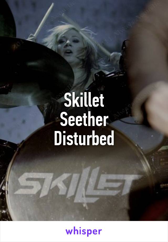 Skillet
Seether
Disturbed