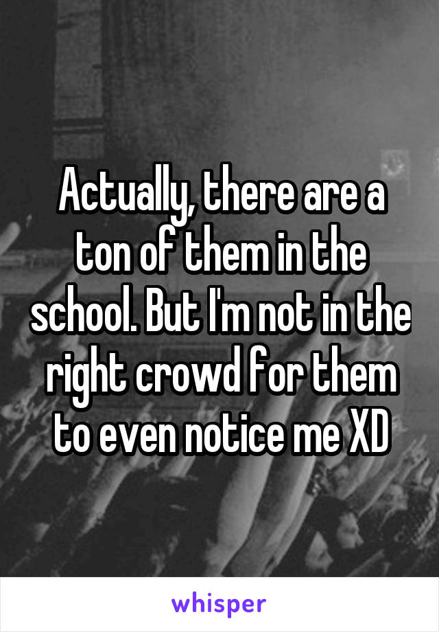 Actually, there are a ton of them in the school. But I'm not in the right crowd for them to even notice me XD