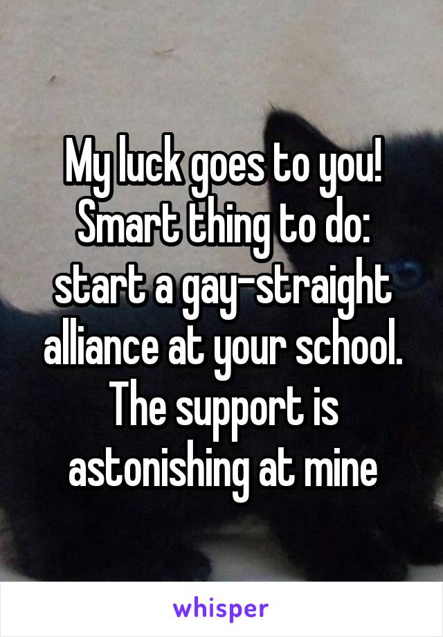 My luck goes to you! Smart thing to do: start a gay-straight alliance at your school. The support is astonishing at mine