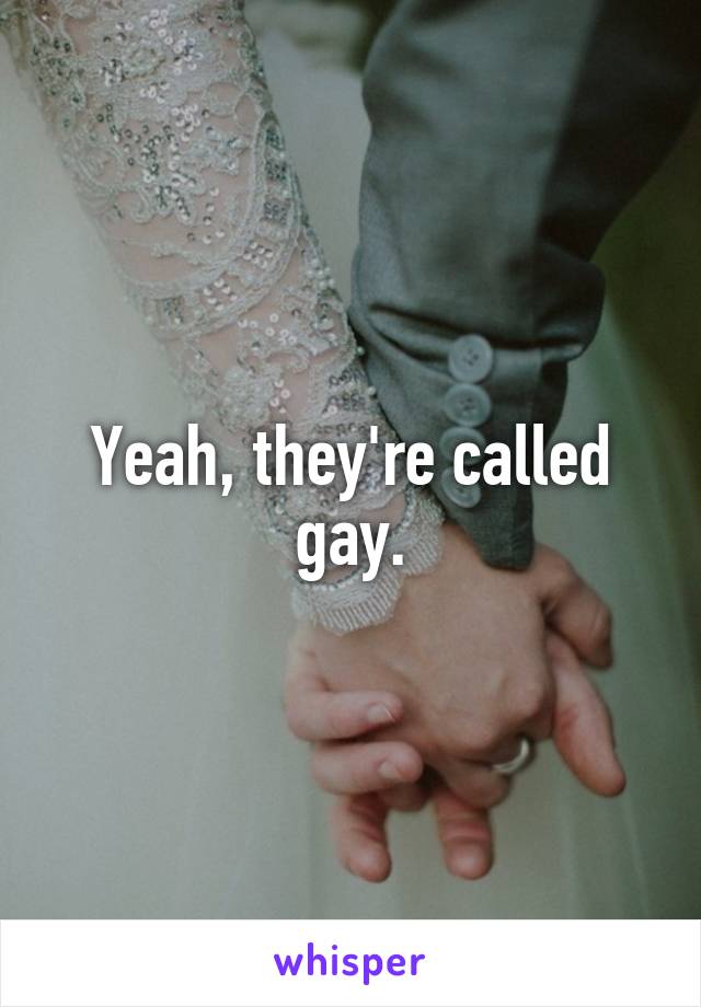 Yeah, they're called gay.