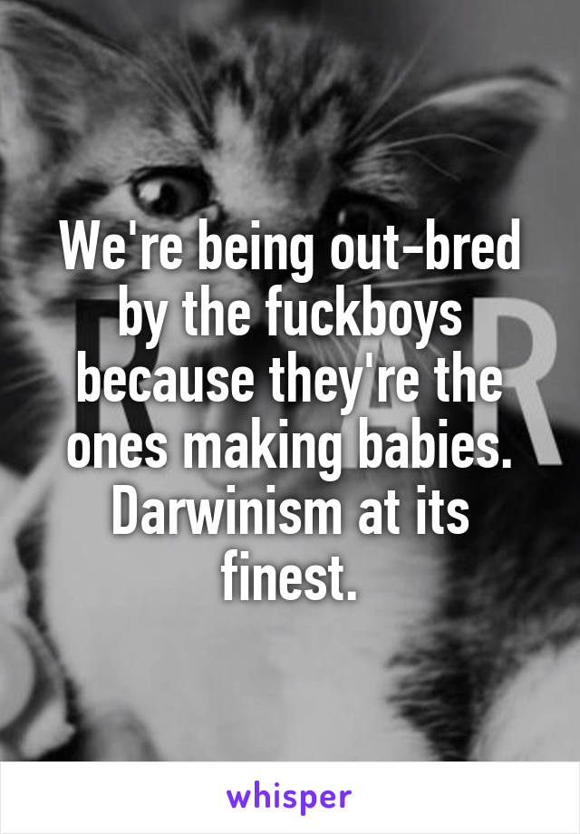 We're being out-bred by the fuckboys because they're the ones making babies. Darwinism at its finest.