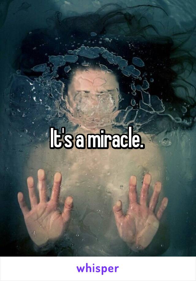 It's a miracle. 