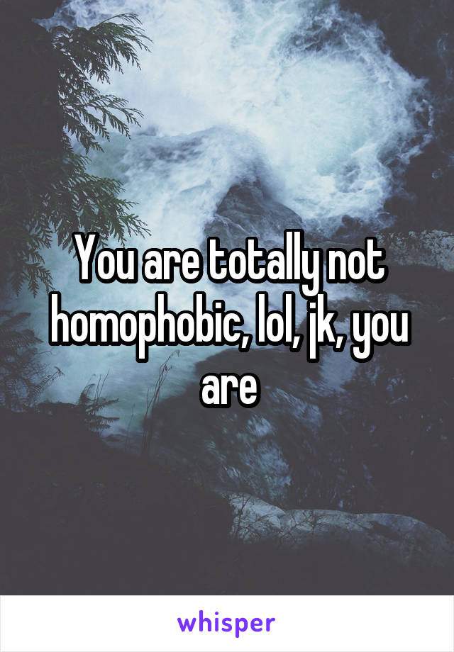 You are totally not homophobic, lol, jk, you are