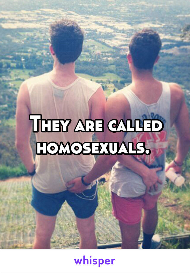 They are called homosexuals. 