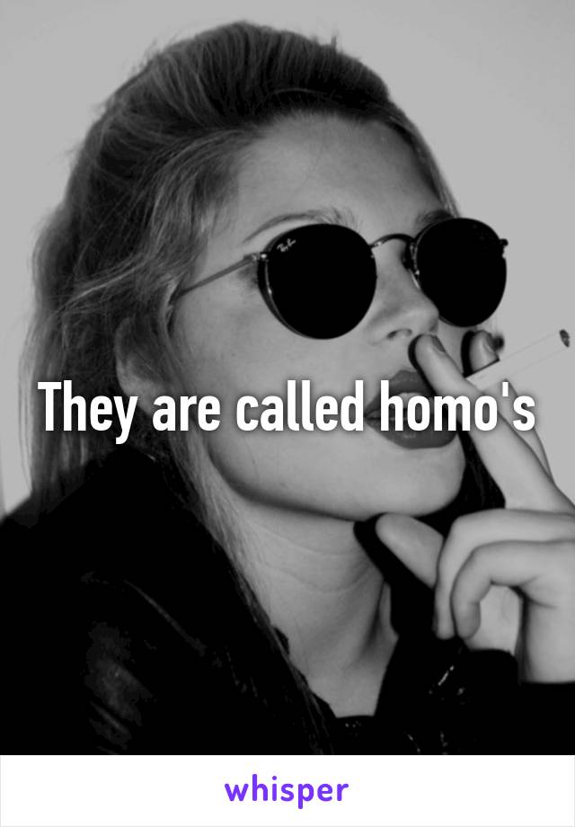 They are called homo's