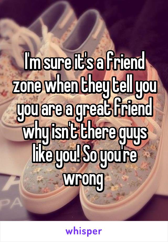 I'm sure it's a friend zone when they tell you you are a great friend why isn't there guys like you! So you're wrong 