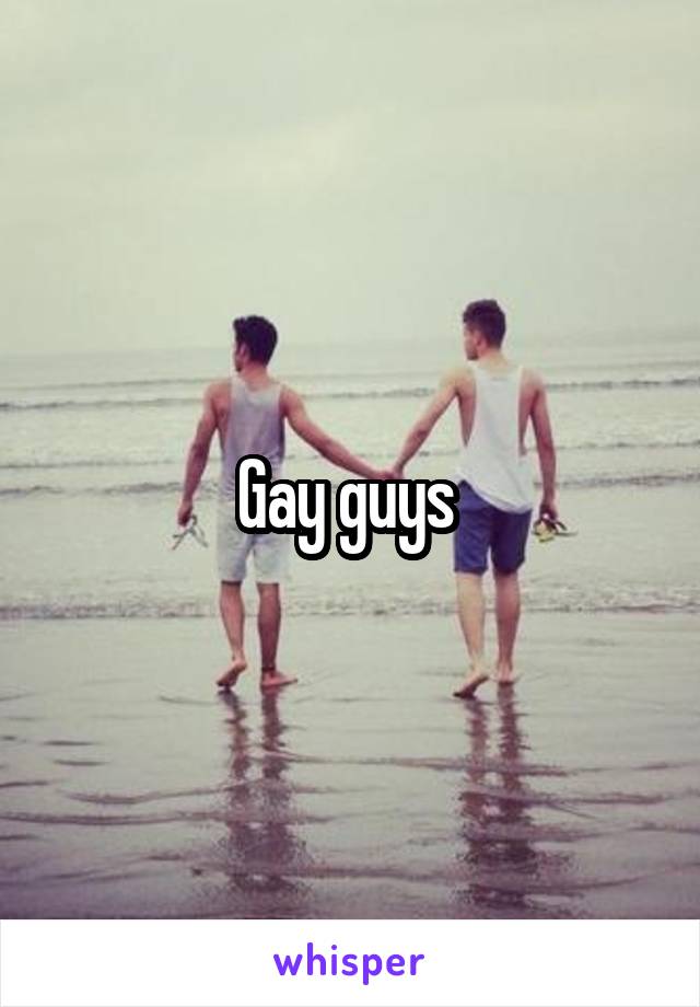 Gay guys 