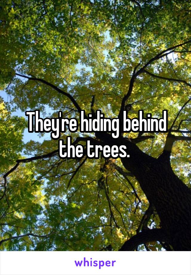 They're hiding behind the trees. 