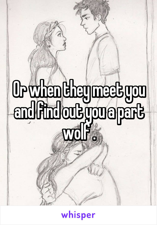 Or when they meet you and find out you a part wolf .