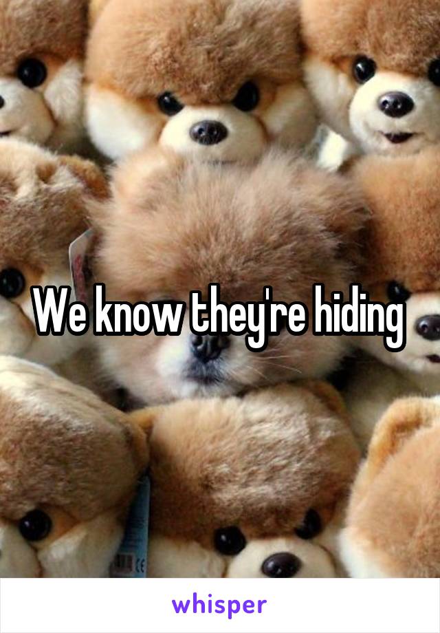 We know they're hiding 