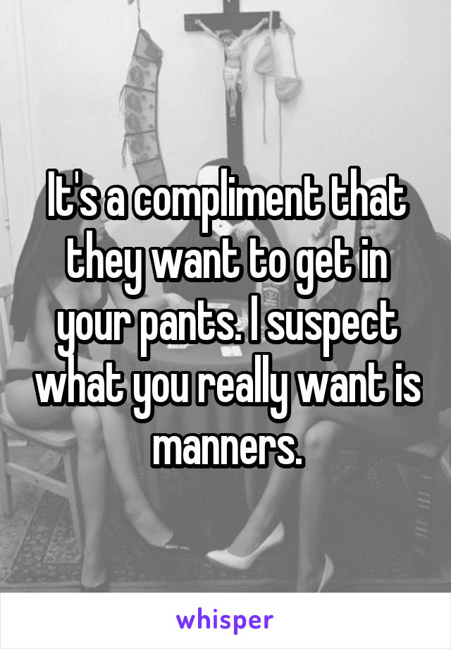 It's a compliment that they want to get in your pants. I suspect what you really want is manners.