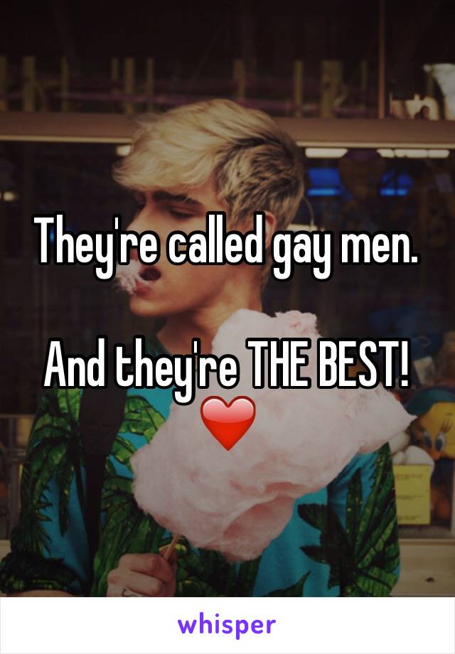 They're called gay men. 

And they're THE BEST! ❤️