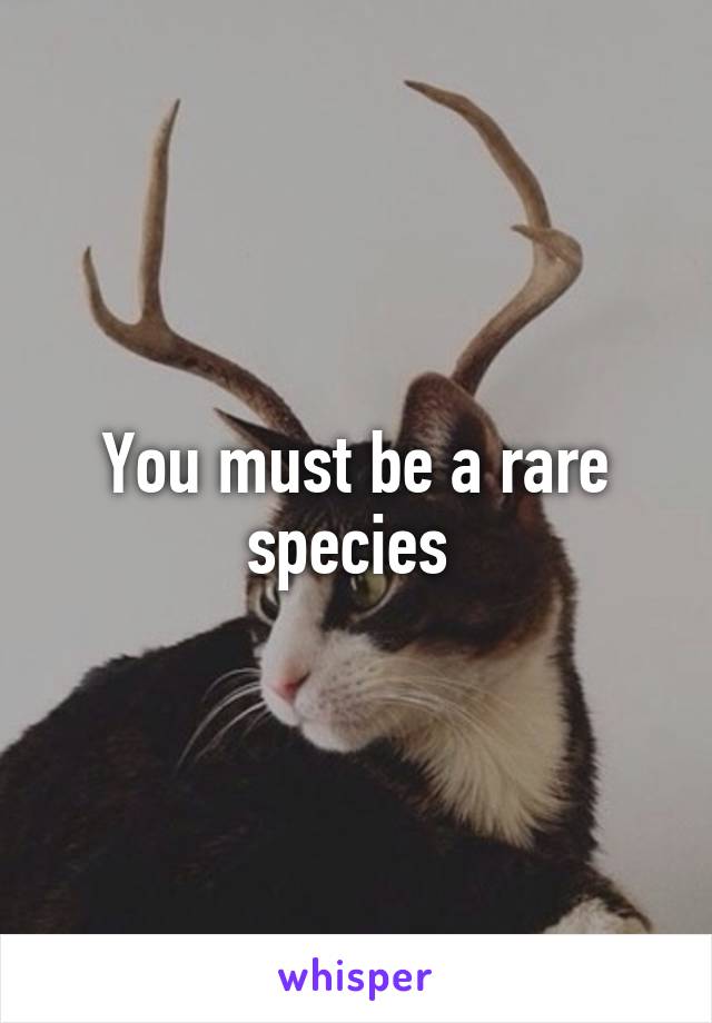 You must be a rare species 