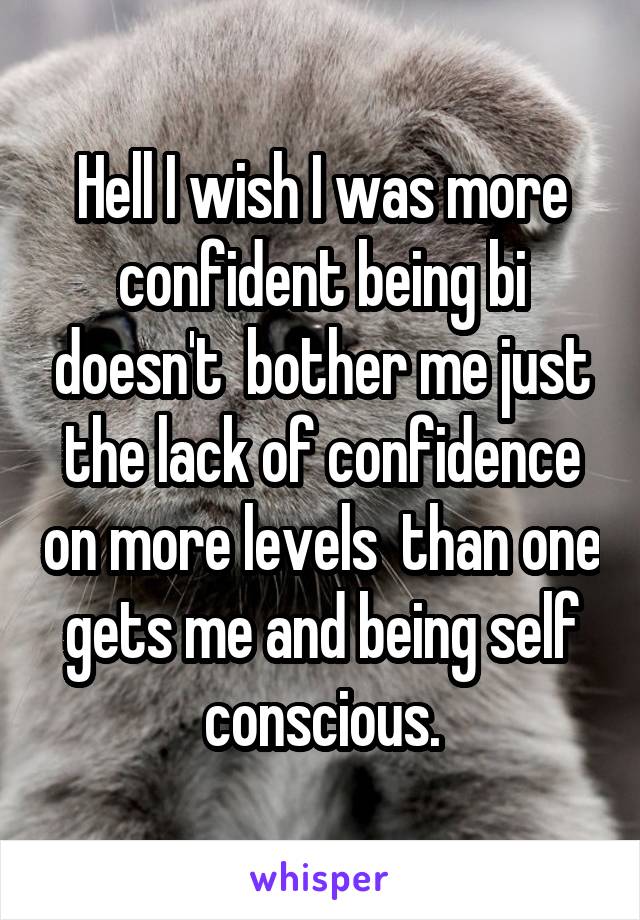 Hell I wish I was more confident being bi doesn't  bother me just the lack of confidence on more levels  than one gets me and being self conscious.