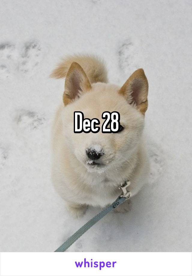 Dec 28
