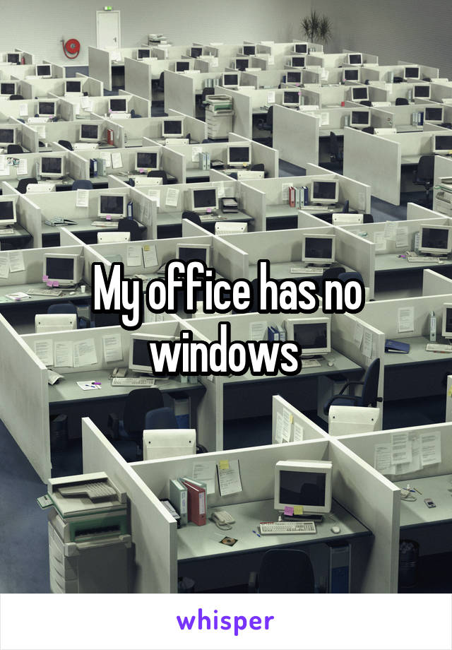 My office has no windows 