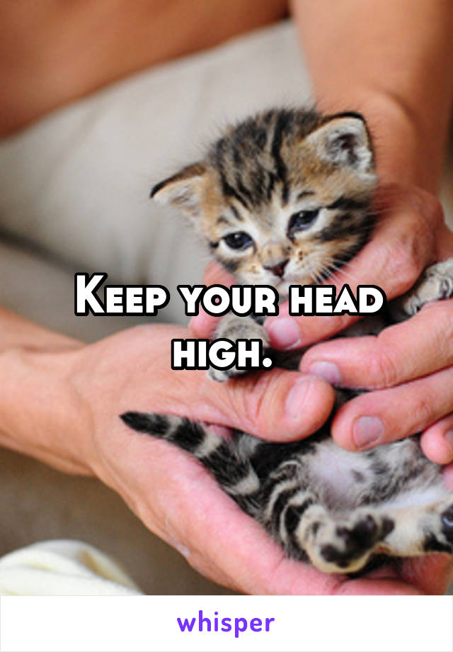 Keep your head high. 