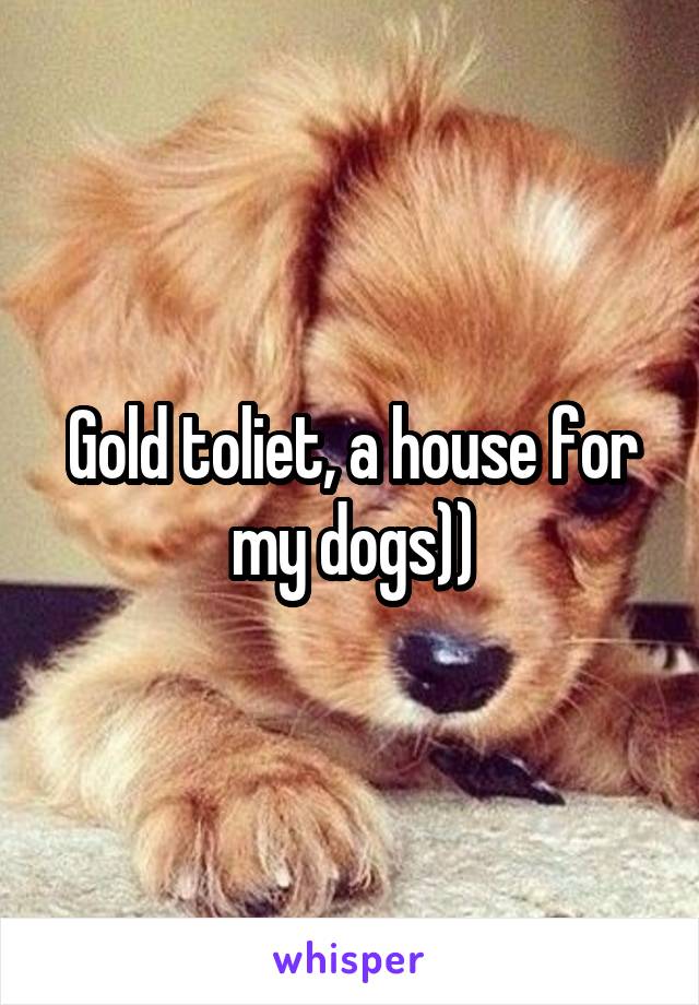 Gold toliet, a house for my dogs))
