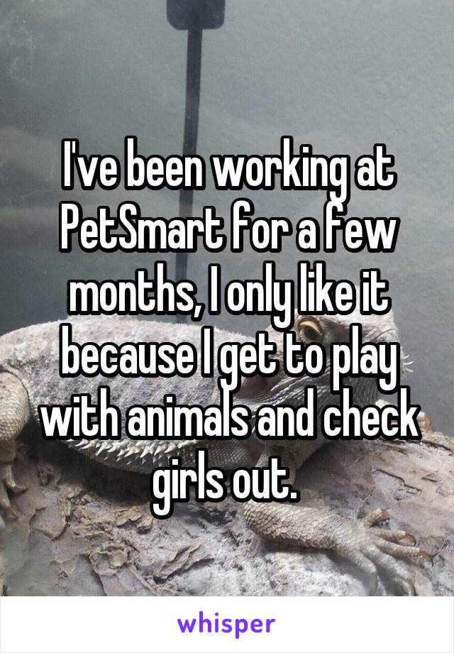 I've been working at PetSmart for a few months, I only like it because I get to play with animals and check girls out. 
