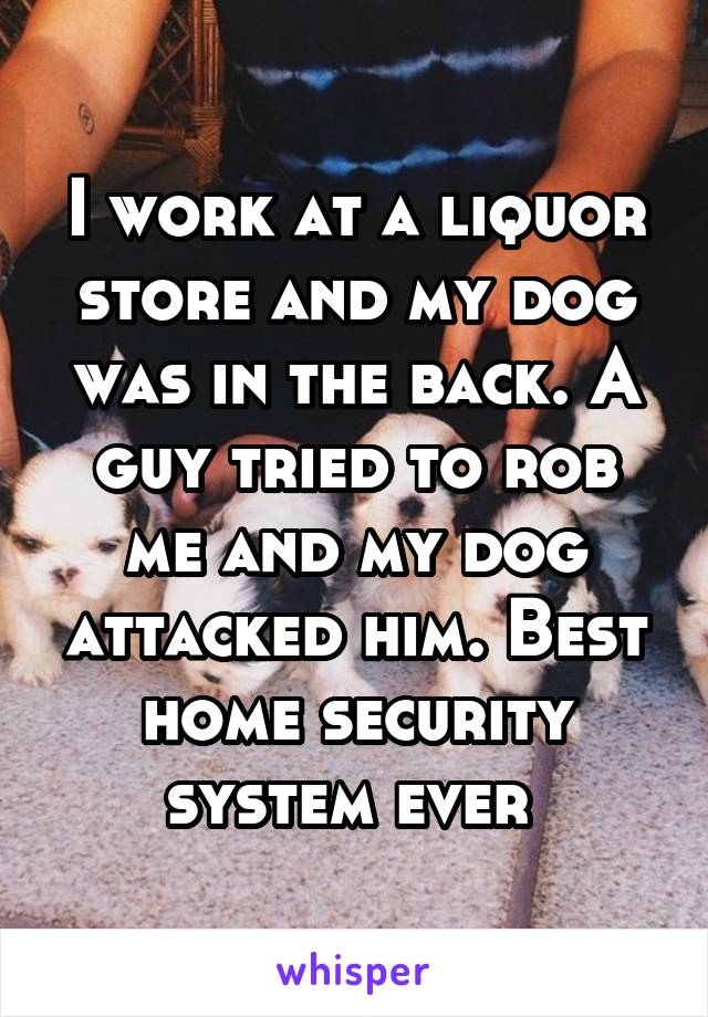 I work at a liquor store and my dog was in the back. A guy tried to rob me and my dog attacked him. Best home security system ever 