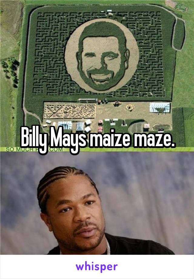 Billy Mays maize maze.