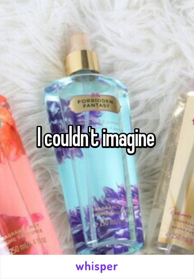 I couldn't imagine 