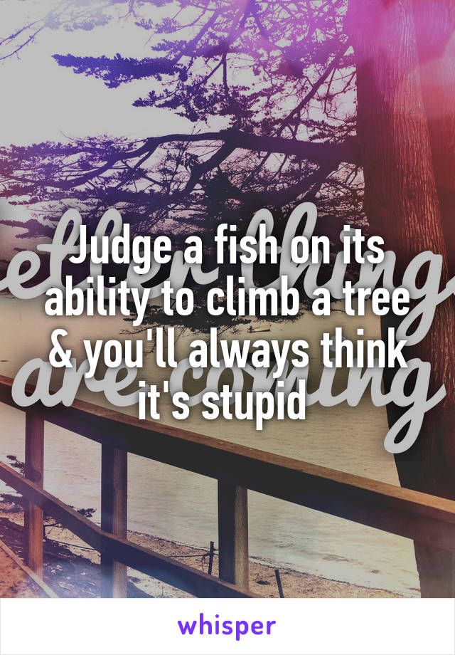 Judge a fish on its ability to climb a tree & you'll always think it's stupid 