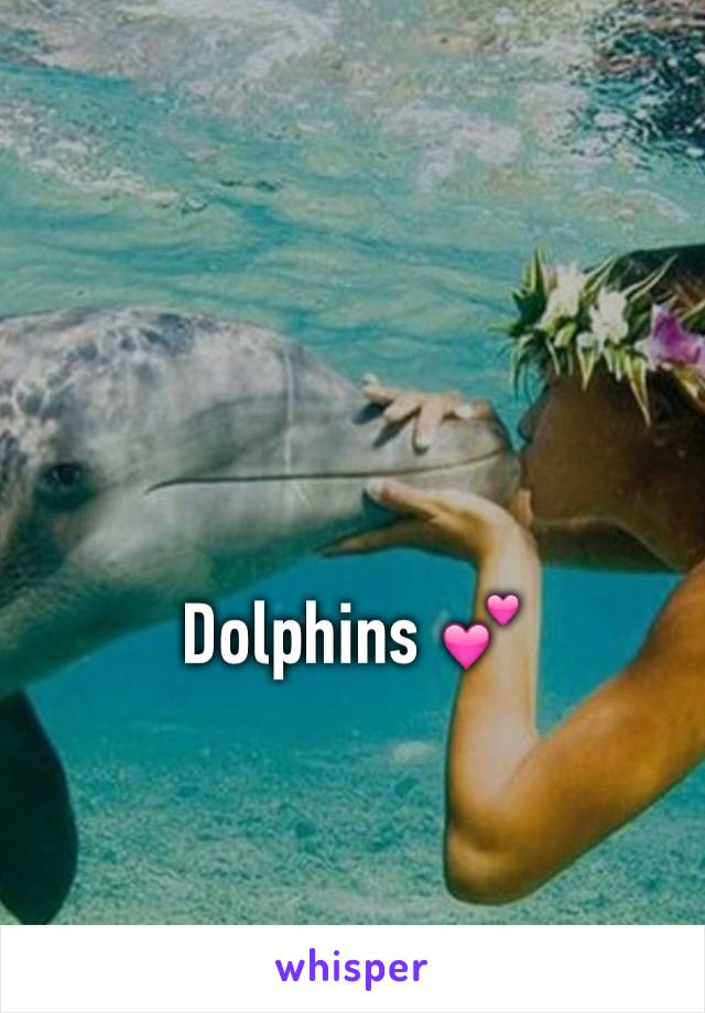 Dolphins 💕