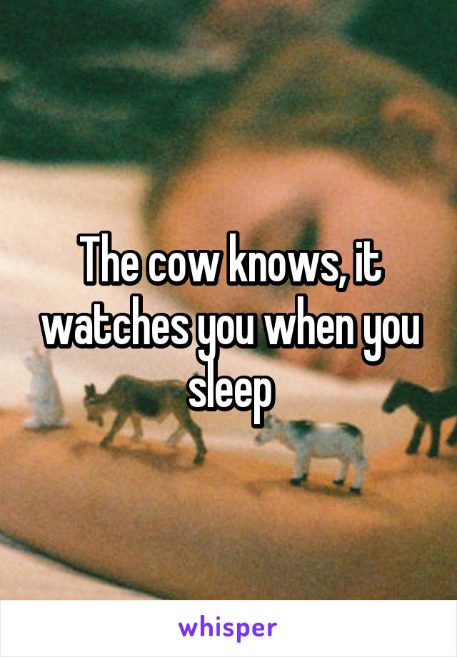 The cow knows, it watches you when you sleep