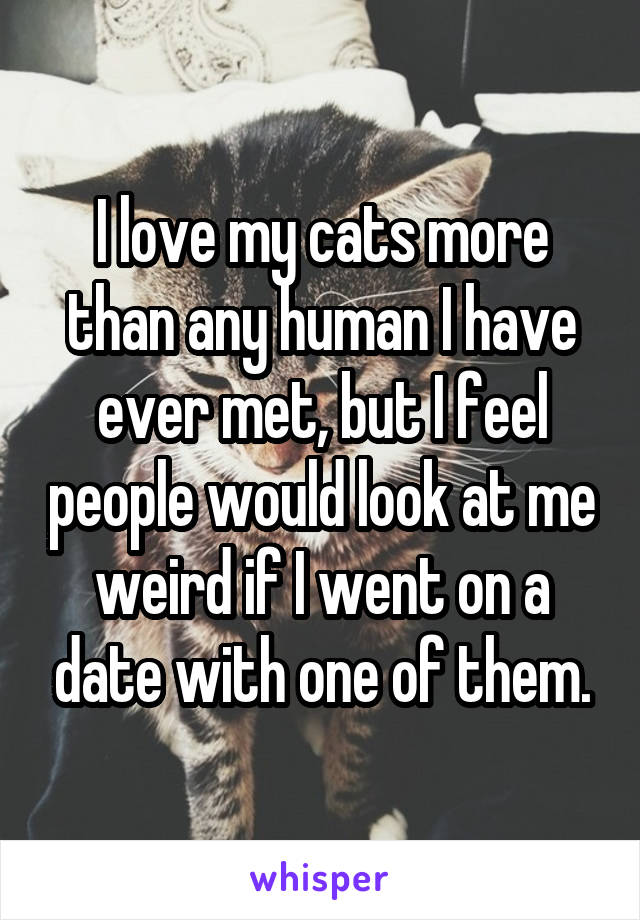 I love my cats more than any human I have ever met, but I feel people would look at me weird if I went on a date with one of them.