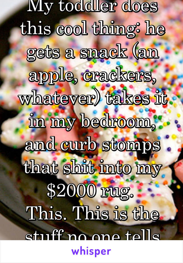 My toddler does this cool thing: he gets a snack (an apple, crackers, whatever) takes it in my bedroom, and curb stomps that shit into my $2000 rug. 
This. This is the stuff no one tells you. 