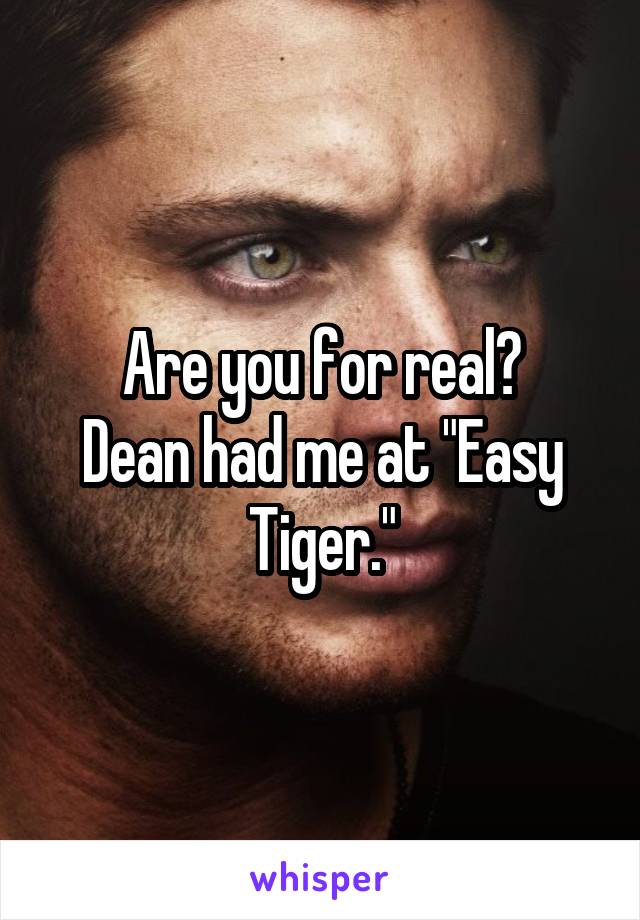 Are you for real?
Dean had me at "Easy Tiger."