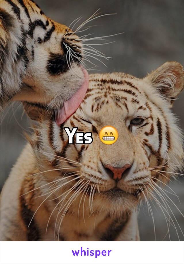 Yes 😁