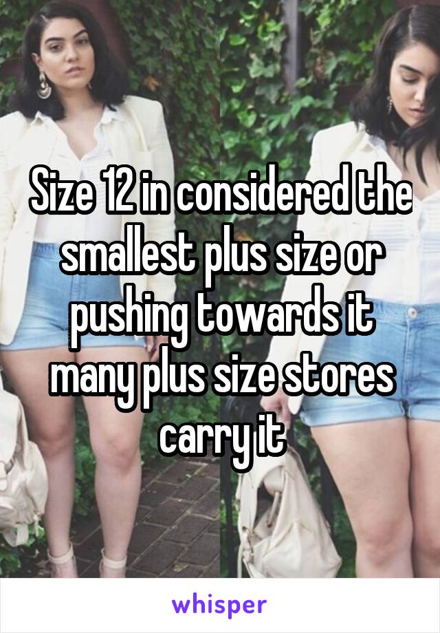 Size 12 in considered the smallest plus size or pushing towards it many plus size stores carry it