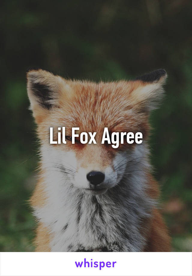 Lil Fox Agree