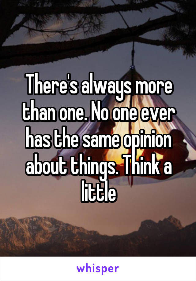 There's always more than one. No one ever has the same opinion about things. Think a little