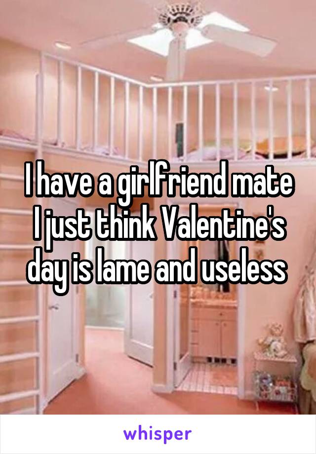 I have a girlfriend mate I just think Valentine's day is lame and useless 