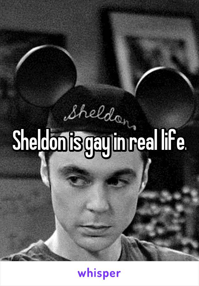 Sheldon is gay in real life.