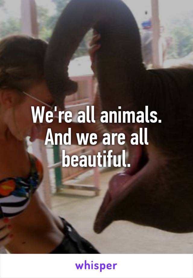 We're all animals.
And we are all beautiful.