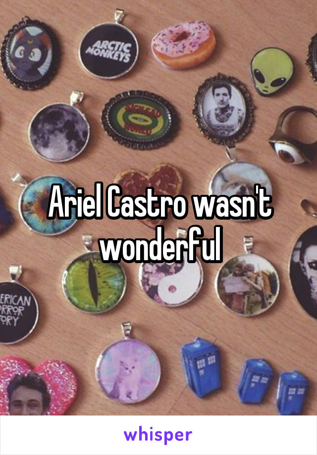 Ariel Castro wasn't wonderful