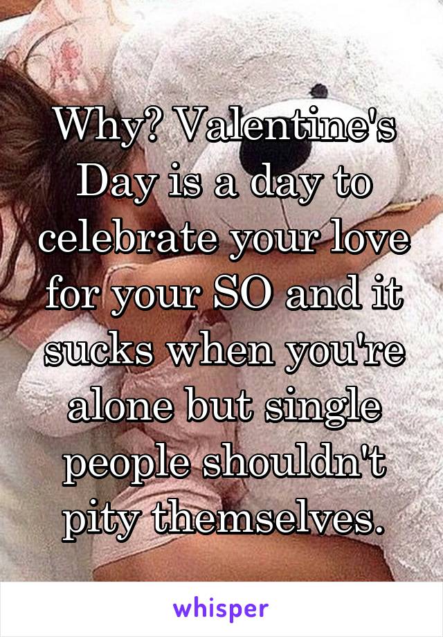 Why? Valentine's Day is a day to celebrate your love for your SO and it sucks when you're alone but single people shouldn't pity themselves.