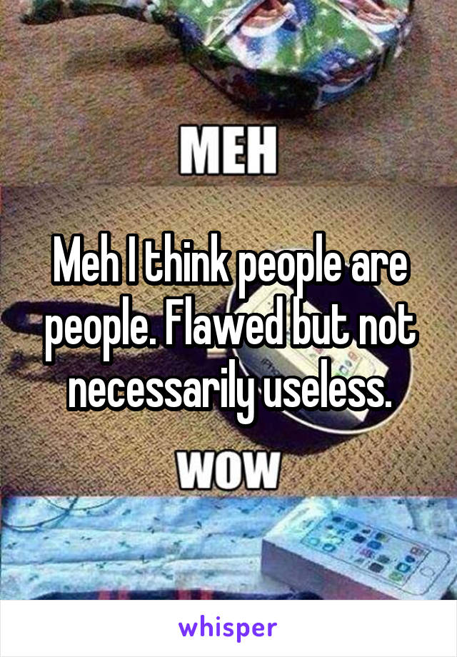 Meh I think people are people. Flawed but not necessarily useless.