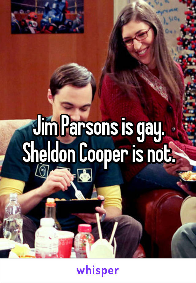 Jim Parsons is gay. Sheldon Cooper is not.