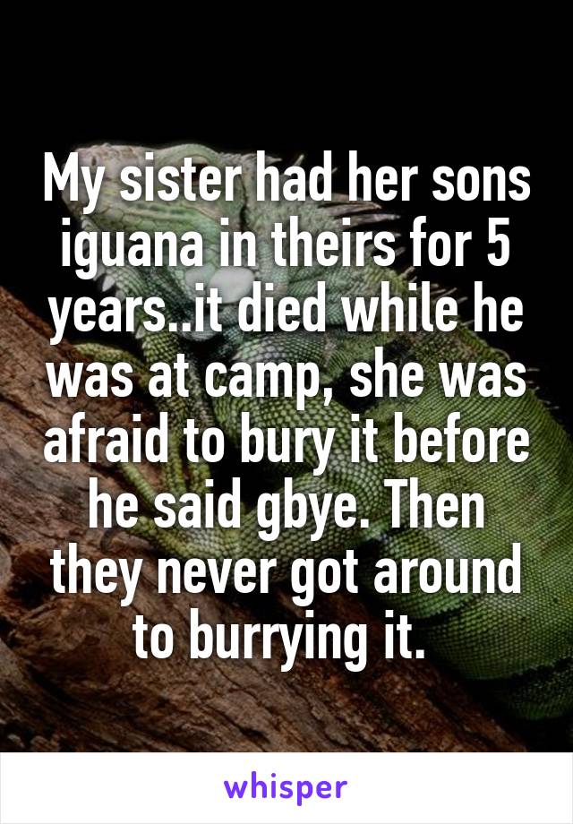 My sister had her sons iguana in theirs for 5 years..it died while he was at camp, she was afraid to bury it before he said gbye. Then they never got around to burrying it. 