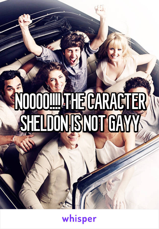 NOOOO!!!! THE CARACTER SHELDON IS NOT GAYY