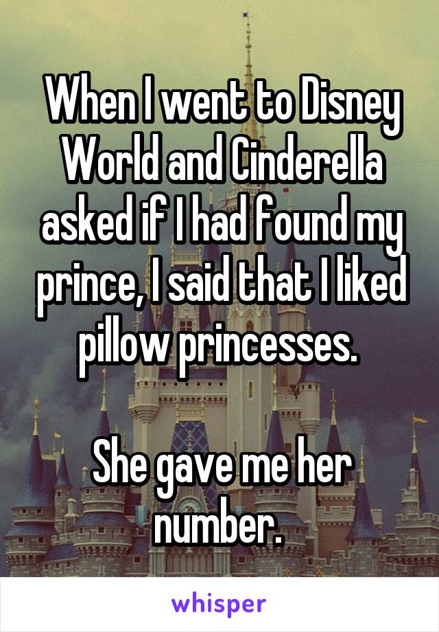 When I went to Disney World and Cinderella asked if I had found my prince, I said that I liked pillow princesses. 

She gave me her number. 