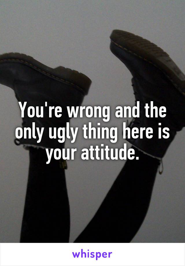 You're wrong and the only ugly thing here is your attitude.