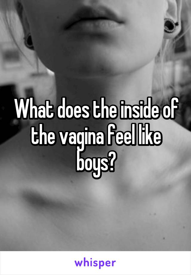 What does the inside of the vagina feel like boys?