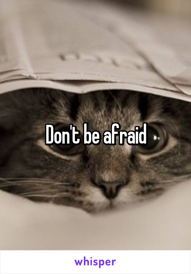 Don't be afraid